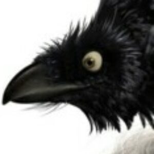 Foto de perfil de Joan